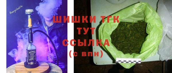 мдпв Бронницы