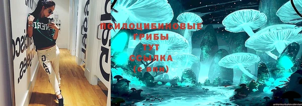 мдпв Бронницы
